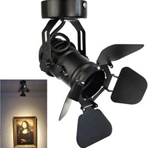 Industrial Vintage Ceiling Spotlight Lamp, Adjustable Black Wall Lamp/Ceiling Light Barn Door Design LED Spot Lights Indoor Lighting for Hallway Art Light Stage Spotlight Living Room Theatre Lamp