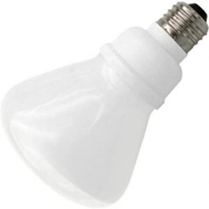 Philips Lighting 456798 R30 Reflector Compact Fluorescent Lamp 15 Watt E26 Medium Base 750 Lumens 82 CRI 2700K