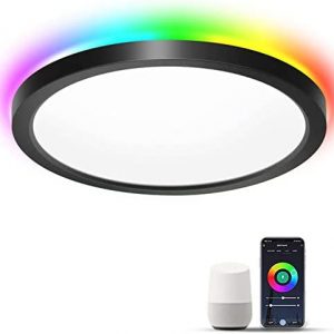 12Inch Smart LED Flush Mount Ceiling Light-Black (1Pack)